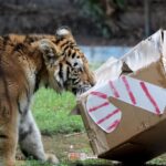 WhatsApp Image 2023-12-28 at 9.10.36 AM (1)