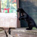 WhatsApp Image 2023-12-28 at 9.10.36 AM