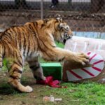 WhatsApp Image 2023-12-28 at 9.10.36 AM (2)