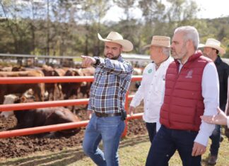 Continúa respaldo a ganaderos; Bedolla entrega apoyos a productores de Morelia