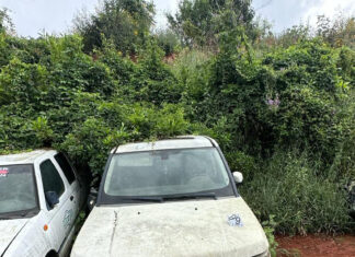 En cateo realizado en el municipio de Ario, recupera FGE 10 vehículos con reporte de robo