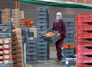 Michoacán sumó más de 13 mil empleos formales con acreditación laboral