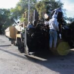 WhatsApp Image 2024-01-10 at 1.16.43 PM (3)