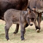 WhatsApp Image 2024-01-11 at 4.31.49 PM