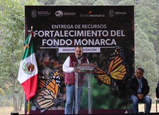 Michoacán contribuye a esfuerzo trinacional para conservación de la Monarca: Secma