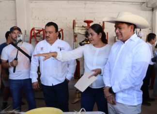 Proyectos productivos comunitarios fortalecen economía de mujeres michoacanas