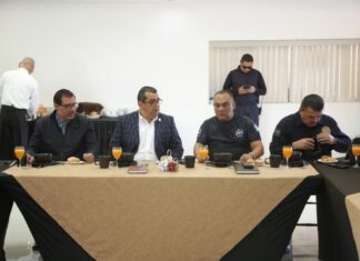 Disminución del delito en Michoacán, gradual y consistente: Elías Ibarra