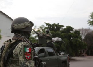 SSP, Sedena y GN aseguran 20 artefactos explosivos, en Apatzingán