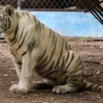 WhatsApp Image 2024-01-30 at 5.21.49 PM (3)