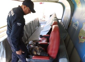 Sigue estas recomendaciones para disfrutar del concierto de Los Fabulosos Cadillacs