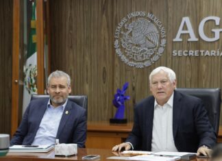 Bedolla y Sader trazan ruta para la certificación y regulación ambiental del aguacate