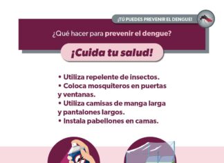 Cómo evitar la reproducción del mosquito transmisor del dengue