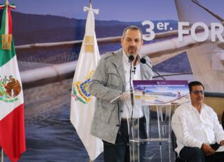 Guardián Forestal, indispensable para certificación del aguacate sustentable: Secma