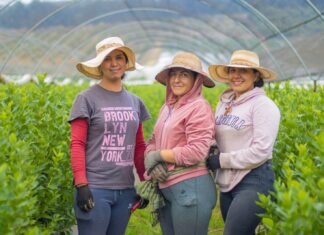 Familias migrantes pueden obtener apoyo de hasta 125 mil pesos para negocio