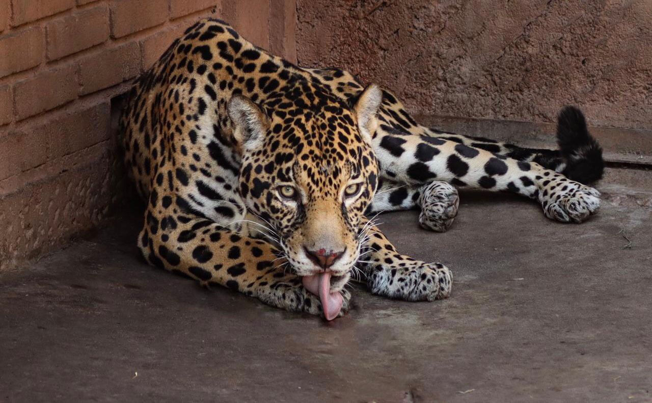 WhatsApp Image 2024-03-12 at 9.57.24 AM