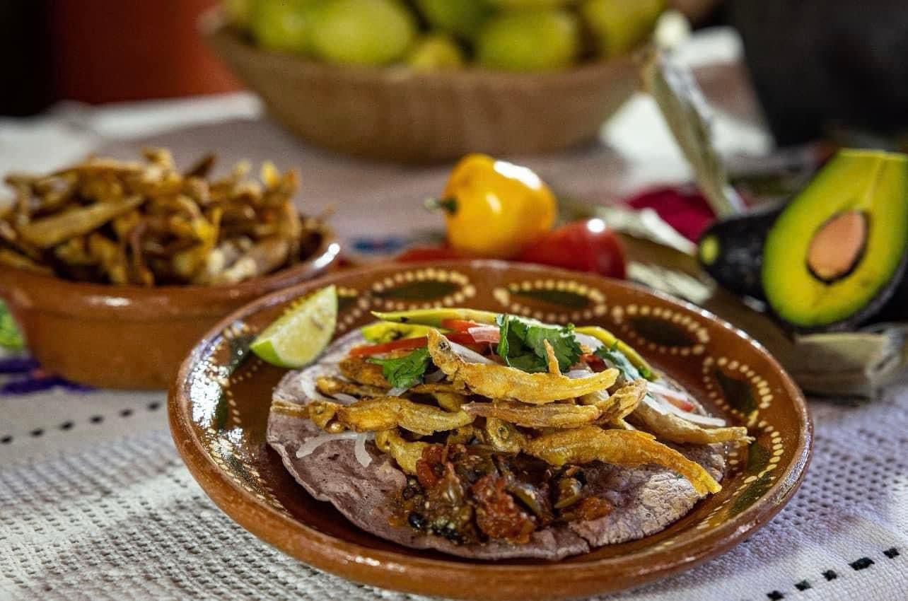 WhatsApp Image 2024-03-14 at 08.23.23