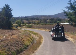 Desplegado operativo de seguridad tras homicidio de tesorero de Senguio