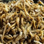 WhatsApp Image 2024-03-23 at 11.16.19 AM