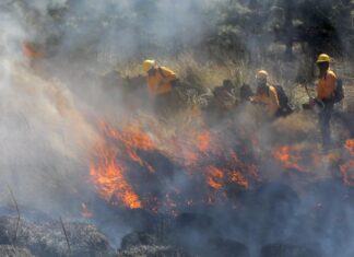 Brigadistas combaten incendio forestal en cerro de la Cruz, en Acutzio