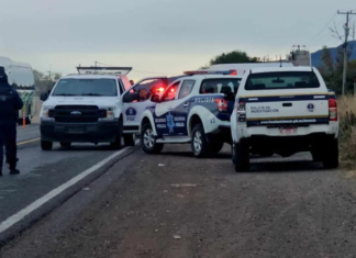 Desconcertante Hallazgo: Cabeza Humana Descubierta en Parada de Transporte Público de Cuitzeo, Michoacán