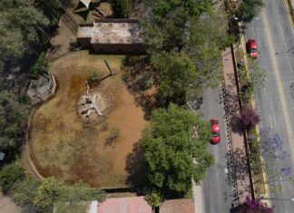 ¡Emergencia! Animales del Zoo de Morelia en peligro por agua contaminada vertida por el OOAPAS