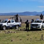 WhatsApp Image 2024-04-04 at 1.19.50 PM (2)