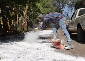 Previene Zoo de Morelia riesgo sanitario por inundación con lodos; se realizó encalado