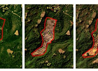 Guardián Forestal vigila zonas afectadas por incendios forestales
