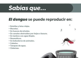 Conoce los síntomas del dengue para pedir atención médica inmediata