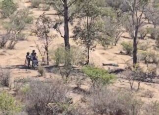 Hallan cadáver embolsado cerca de la carretera Morelia-Mil Cumbres en Michoacán. VIDEO
