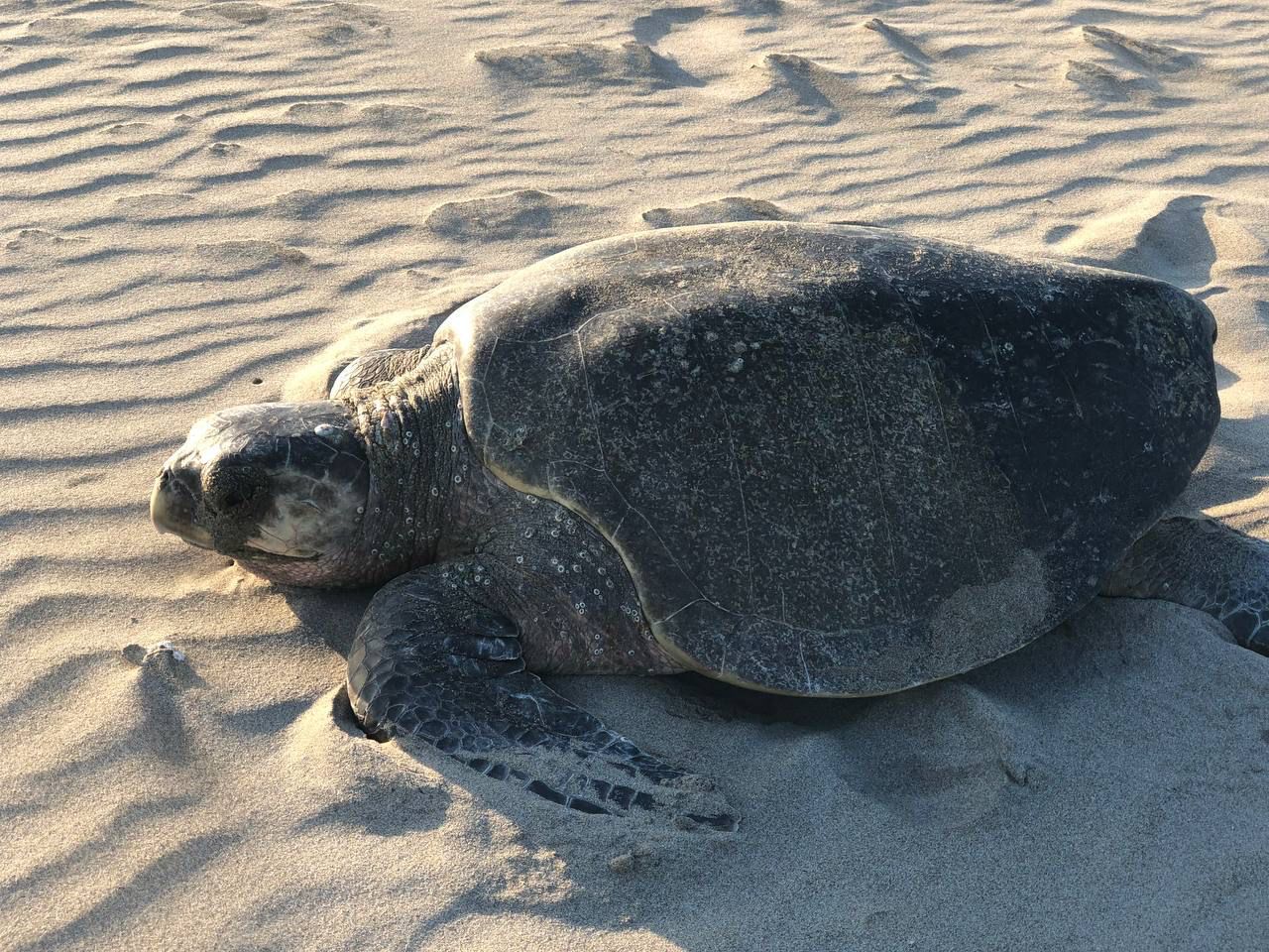 WhatsApp Image 2024-04-12 at 14.56.00