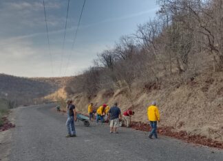 Brigadistas atienden 2 incendios forestales en Coalcomán-Chinicuila y Erongarícuaro