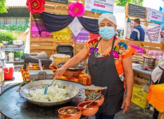 Esto es lo que tienes que saber para disfrutar del Festival Michoacán de Origen