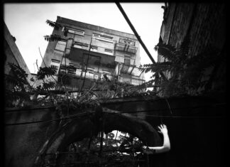 ¡Estreno de ‘Episodios entre las sombras’ en Notiunión: Terror que te dejará sin aliento! 😱