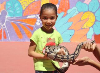 Día de aventuras para niñas y niños; hoy entran gratis hoy al Zoo de Morelia
