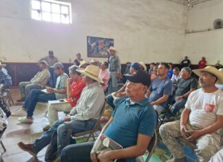 Arrancan comunidades obras de conservación del lago de Pátzcuaro