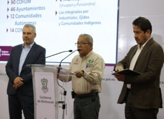 Novecientos brigadistas combaten incendios forestales en Michoacán