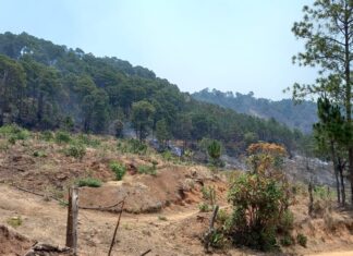 Brigadistas combaten incendios forestales en Morelia y La Huacana