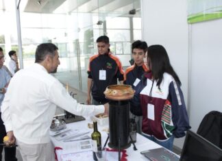 Estudiantes del Cecytem desarrollan estufa ecológica; competirán en encuentro nacional