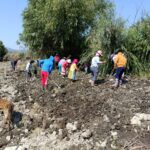 WhatsApp Image 2024-05-28 at 20.00.57