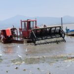 WhatsApp Image 2024-05-28 at 20.00.58