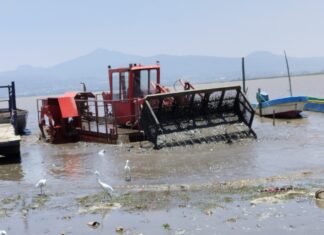Así avanzan los trabajos para rescatar el Lago de Pátzcuaro