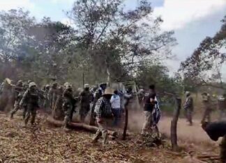 Asesinatos masivos en Chicomuselo: Enfrentamientos entre cárteles dejan 11 muertos