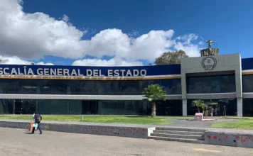 Detiene FGE a un hombre por posible relación en delitos forestales en Uruapan