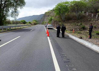 Encuentran a hombre ejecutado y maniatado en los límites de Copándaro con Cuitzeo