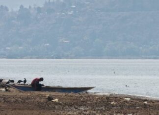 Recuperación de Manantiales y Restauración Ambiental en Pátzcuaro