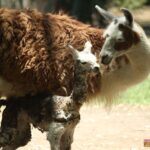 WhatsApp Image 2024-06-01 at 08.37.55 (1)