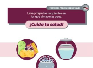 En temporada de lluvias mantén estas medidas para prevenir el dengue