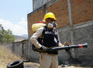 Ante las lluvias, refuerza desde casa esta estrategia para prevenir el dengue