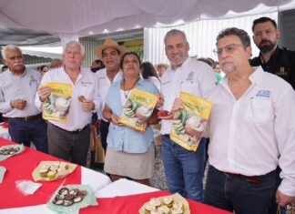 Michoacán tiene la primera planta procesadora de harina de plátano